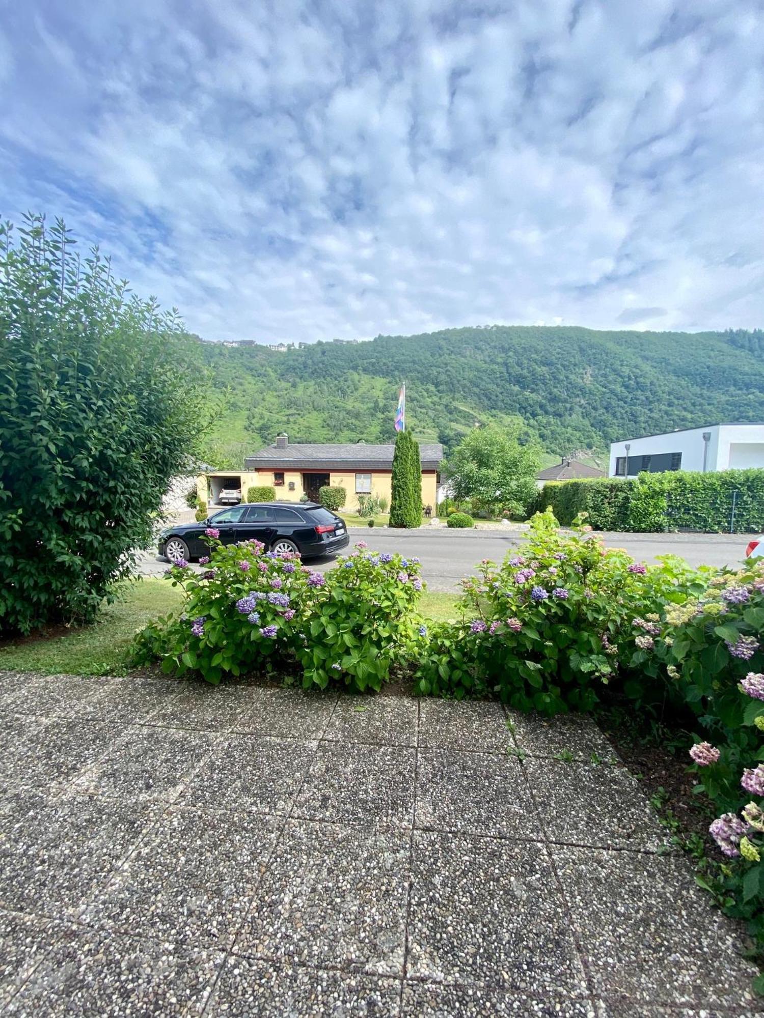Neu: Ferienwohnung Zum Nussbaum - Landhausstil & Moseltalblick Traben-Trarbach Exterior foto